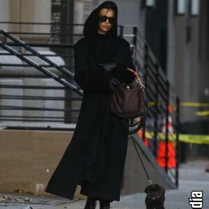 Irina Shayk other